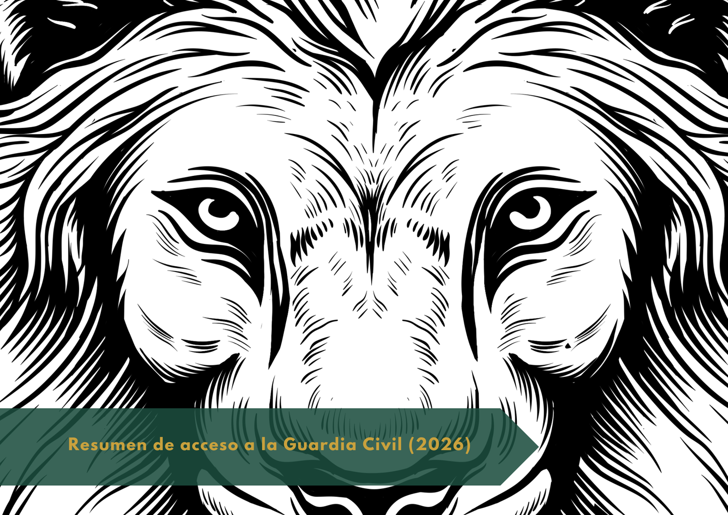 Resumen de ingreso a Guardia Civil