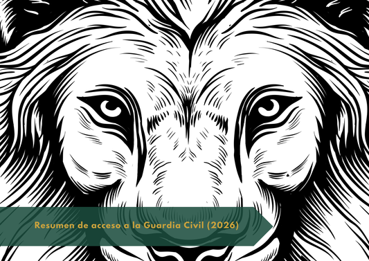 Resumen de ingreso a Guardia Civil